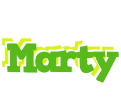 Marty picnic logo