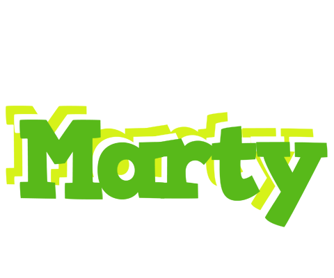 Marty picnic logo