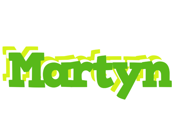 Martyn picnic logo