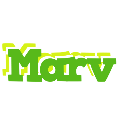 Marv picnic logo