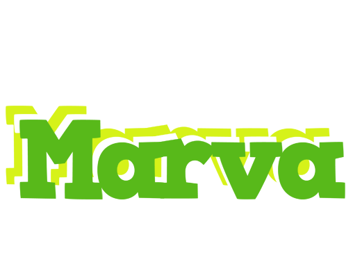 Marva picnic logo
