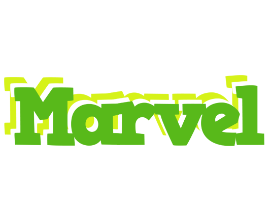 Marvel picnic logo