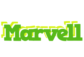 Marvell picnic logo