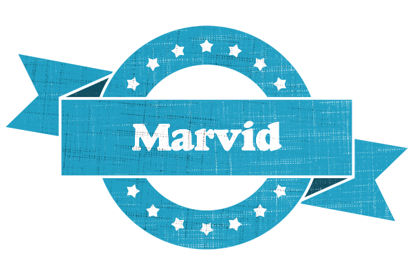 Marvid balance logo