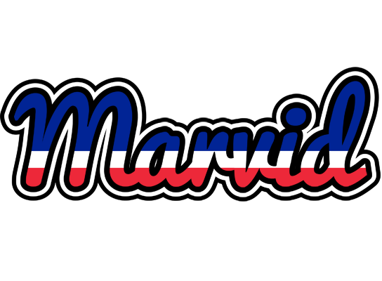 Marvid france logo