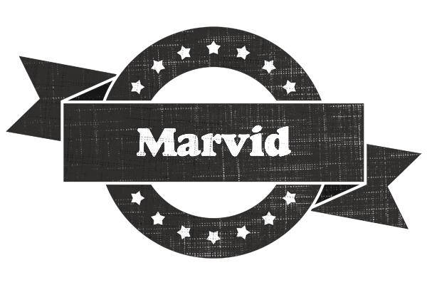 Marvid grunge logo