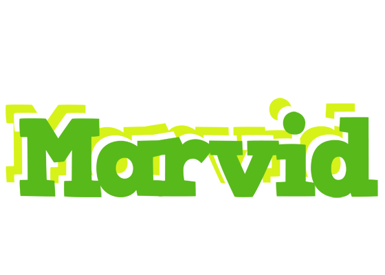 Marvid picnic logo