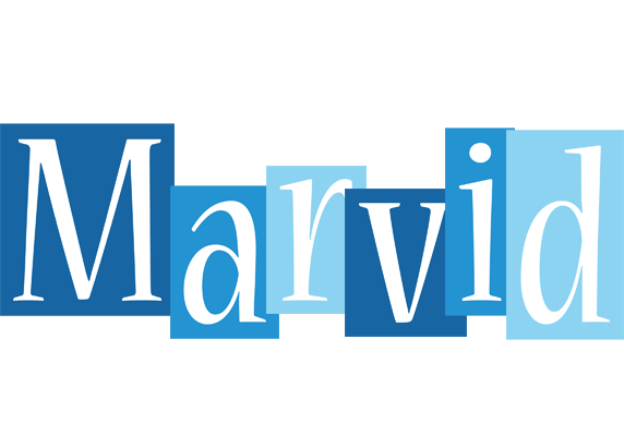 Marvid winter logo