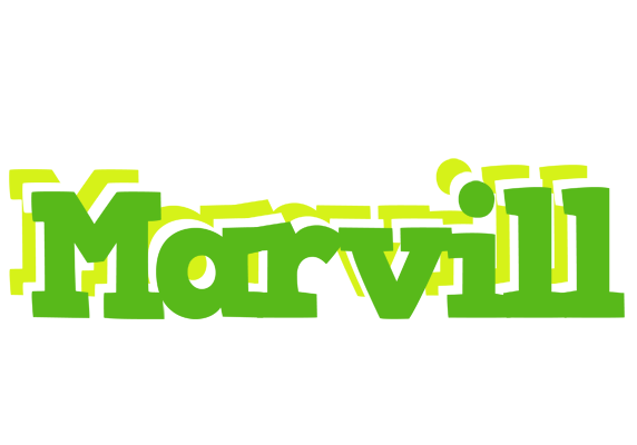 Marvill picnic logo