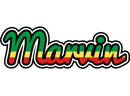 Marvin african logo