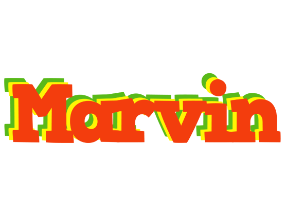 Marvin bbq logo