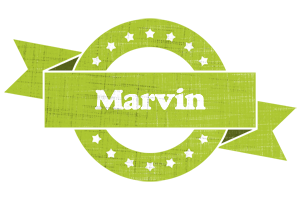 Marvin change logo