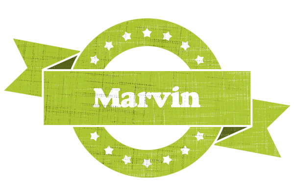Marvin change logo