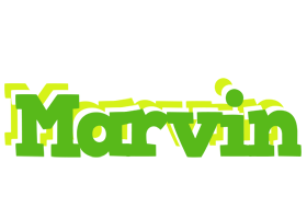 Marvin picnic logo