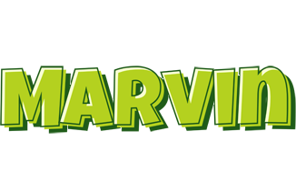 Marvin summer logo