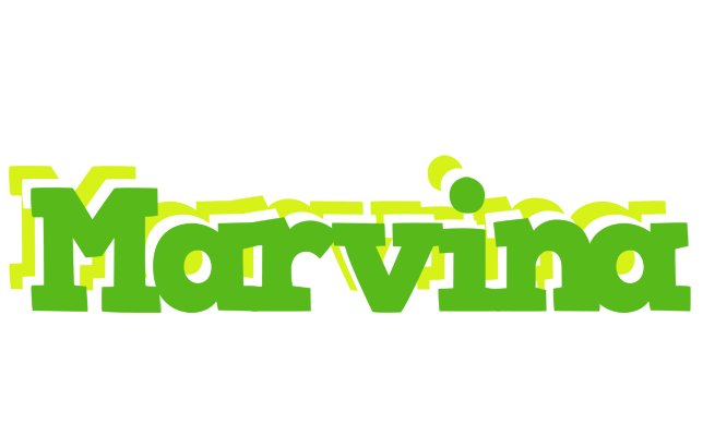Marvina picnic logo