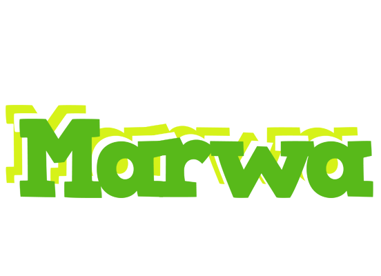 Marwa picnic logo