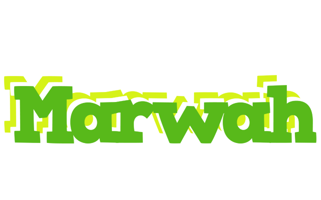 Marwah picnic logo