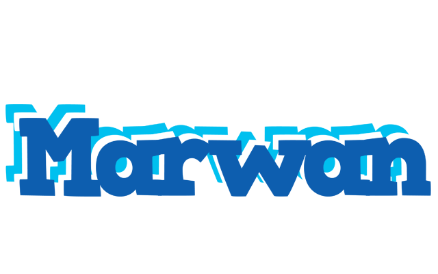 Marwan business logo