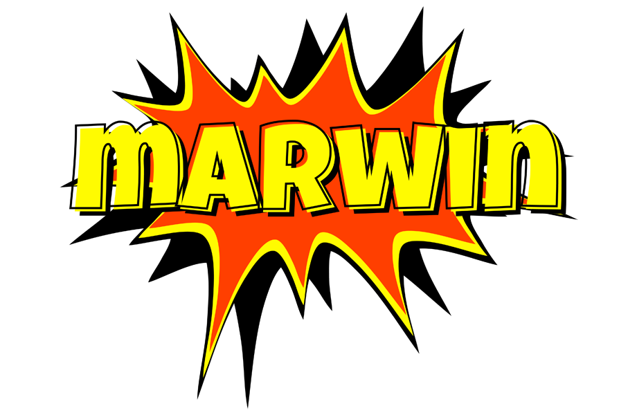 Marwin bazinga logo