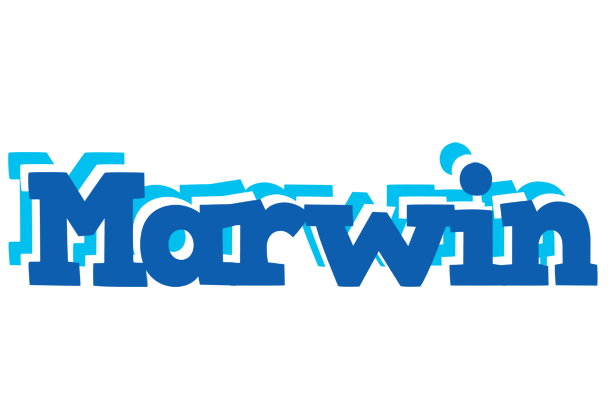 Marwin business logo