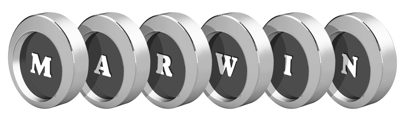Marwin coins logo