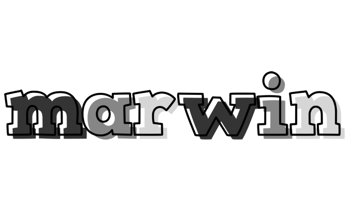 Marwin night logo