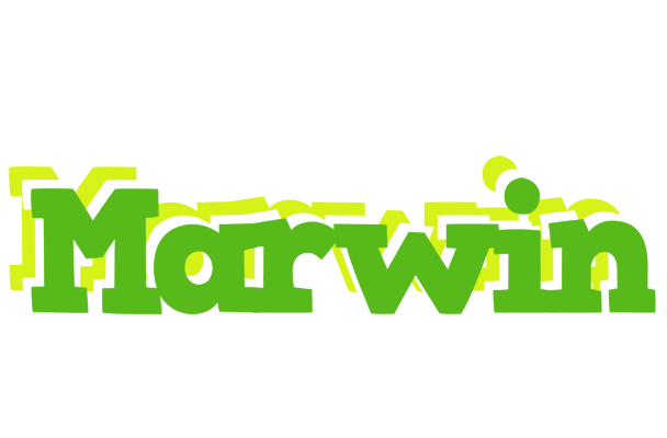 Marwin picnic logo