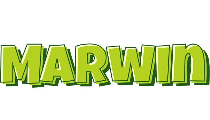 Marwin summer logo