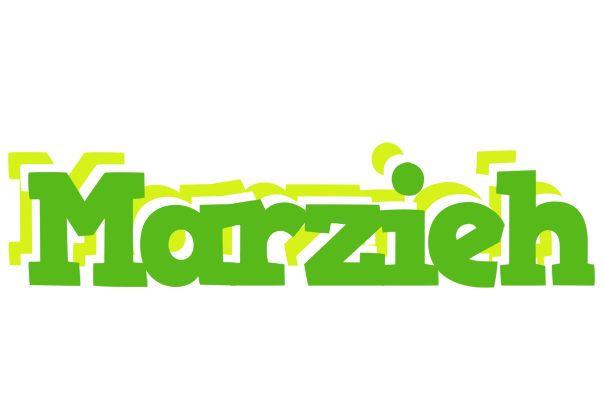 Marzieh picnic logo
