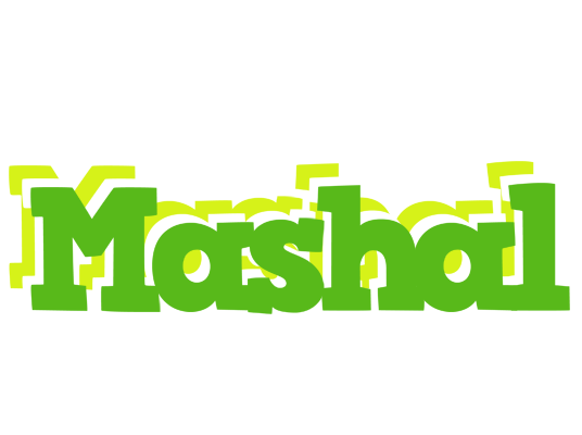 Mashal picnic logo
