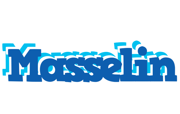 Masselin business logo