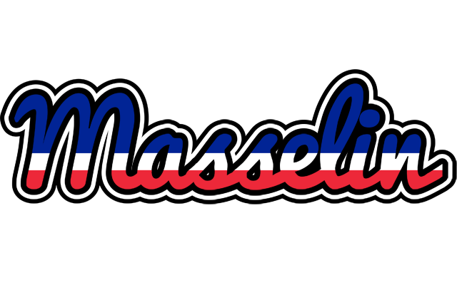 Masselin france logo