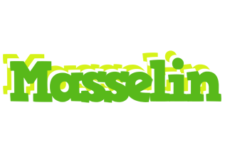 Masselin picnic logo
