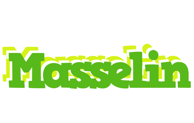 Masselin picnic logo