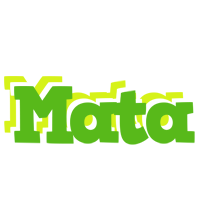 Mata picnic logo