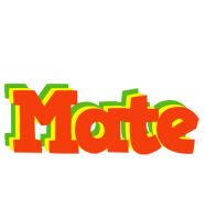 Mate bbq logo