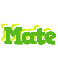 Mate picnic logo