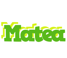 Matea picnic logo