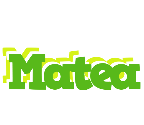 Matea picnic logo