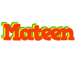 Mateen bbq logo