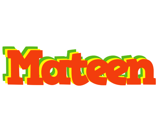 Mateen bbq logo