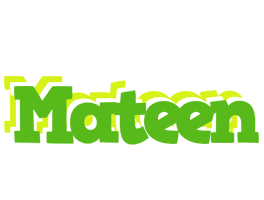 Mateen picnic logo