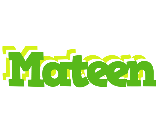 Mateen picnic logo
