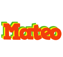 Mateo bbq logo