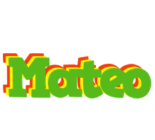 Mateo crocodile logo