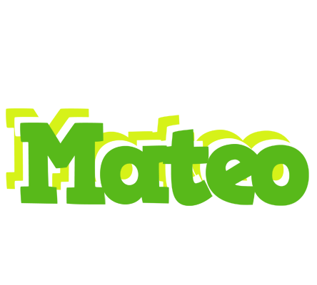 Mateo picnic logo