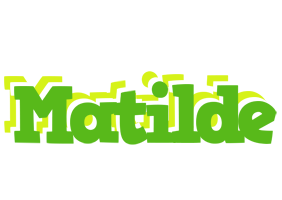 Matilde picnic logo