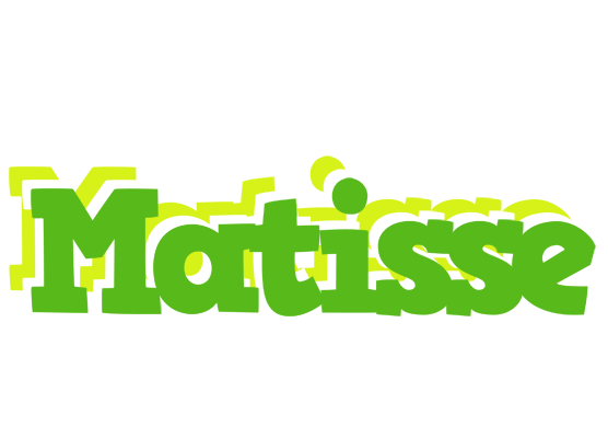 Matisse picnic logo