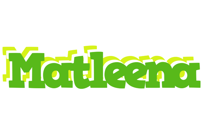 Matleena picnic logo
